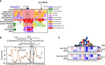 Diagnostic and therapeutic potential of RNASET2 in Crohn’s disease: Disease-risk polymorphism modulates allelic-imbalance in expression and circulating protein levels and recombinant-RNASET2 attenuates pro-inflammatory cytokine secretion